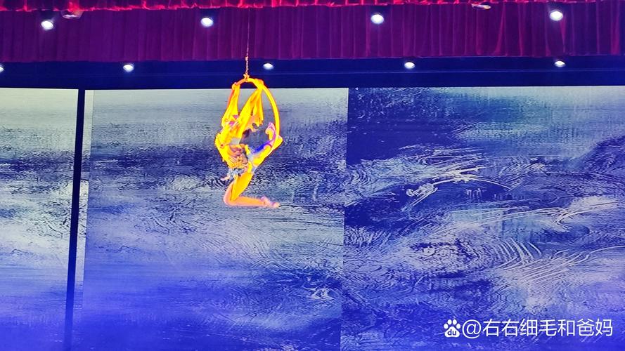 新澳门彩出码走势和杂技演员表演中摔落与杂技演员表演中摔落的是谁